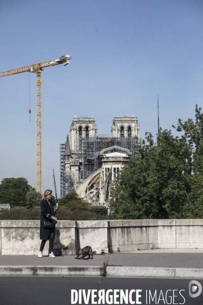 Paris sous Coronavirus