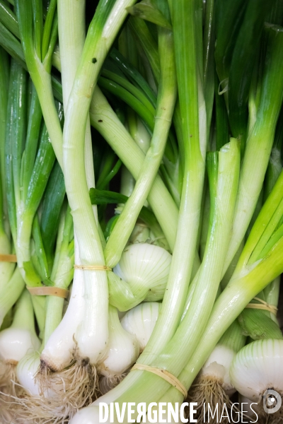 Magasin bio de vente directe à la ferme