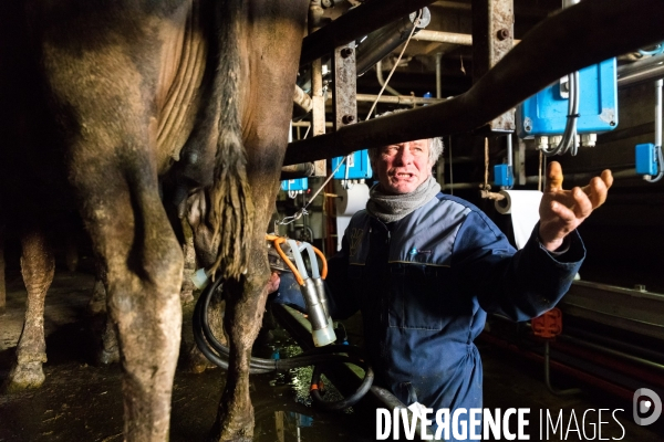 Elevage bio de vaches laitières et crèmerie en Bretagne