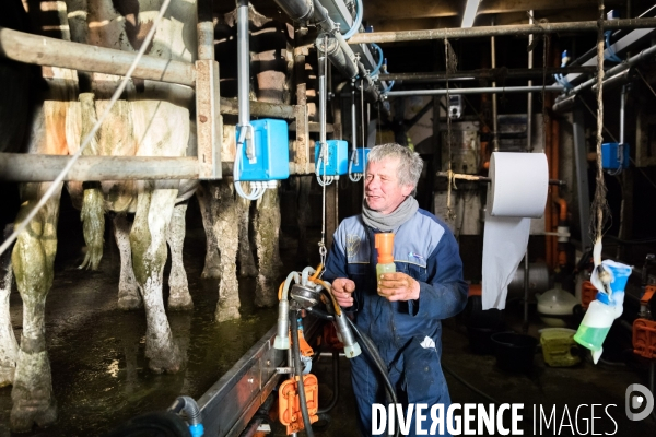 Elevage bio de vaches laitières et crèmerie en Bretagne