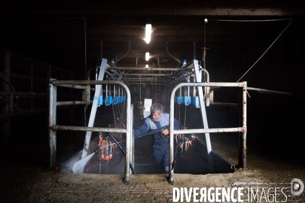 Elevage bio de vaches laitières et crèmerie en Bretagne