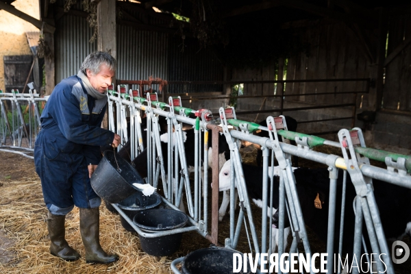 Elevage bio de vaches laitières et crèmerie en Bretagne