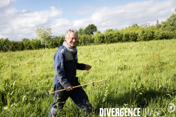 Elevage bio de vaches laitières et crèmerie en Bretagne