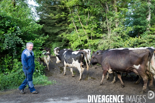 Elevage bio de vaches laitières et crèmerie en Bretagne