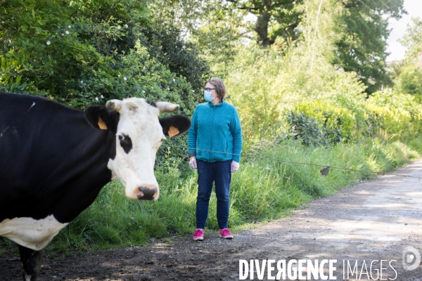 Elevage bio de vaches laitières et crèmerie en Bretagne