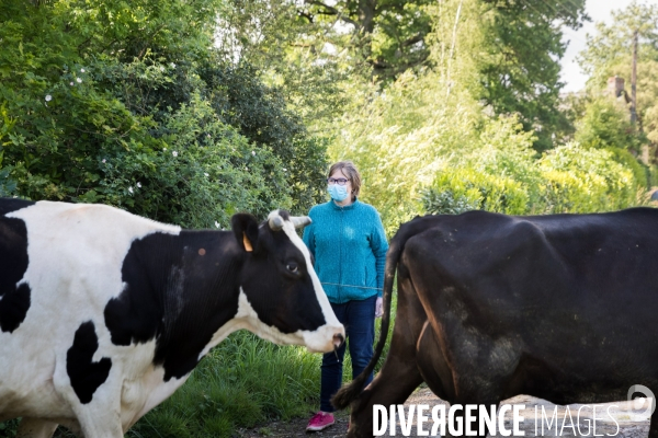 Elevage bio de vaches laitières et crèmerie en Bretagne