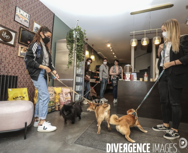 Ouverture de la boutique klep s a paris