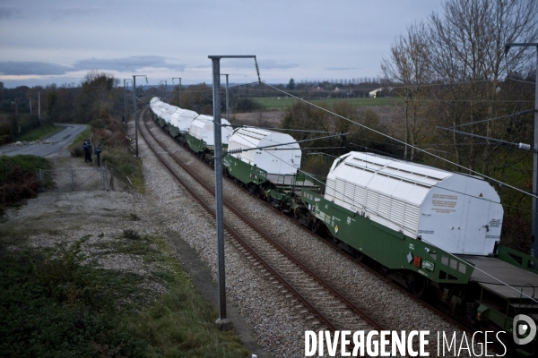 Action de blocage d un train de déchets nucléaires CASTOR