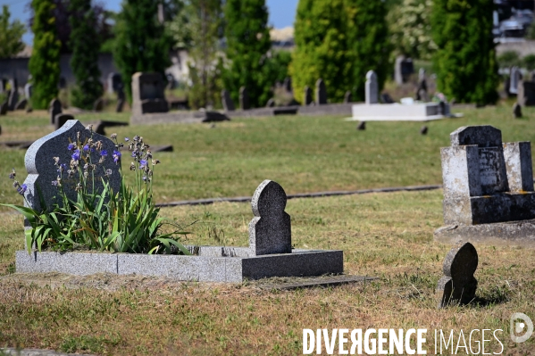 Le Cimetière musulman de Bobigny