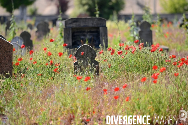 Le Cimetière musulman de Bobigny
