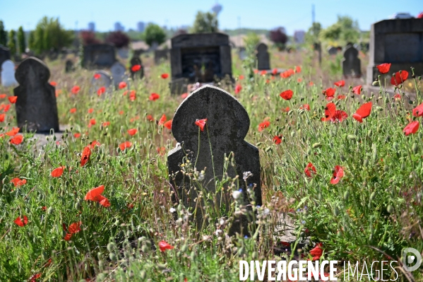 Le Cimetière musulman de Bobigny