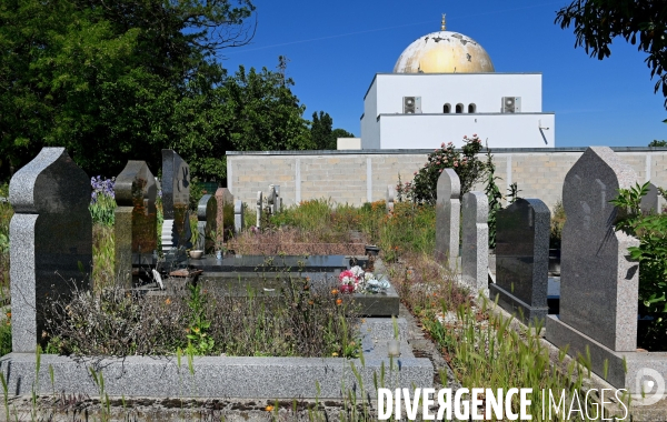 Le Cimetière musulman de Bobigny