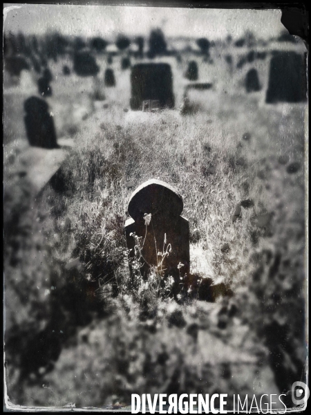 Le Cimetière musulman de Bobigny