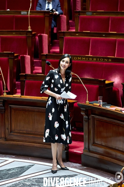 Assemblee Nationale debat 20 mai 2020