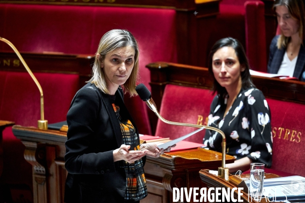 Assemblee Nationale debat 20 mai 2020