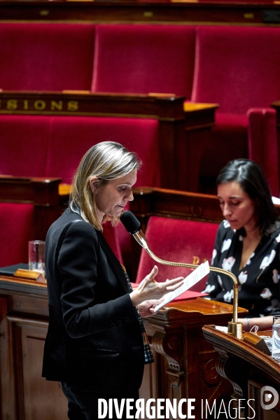 Assemblee Nationale debat 20 mai 2020