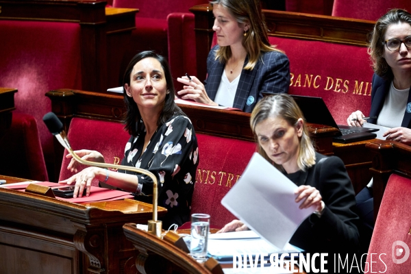 Assemblee Nationale debat 20 mai 2020