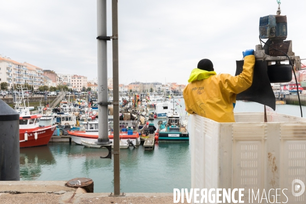 La pêche artisanale française au ralenti