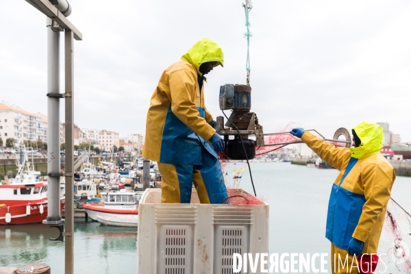 La pêche artisanale française au ralenti