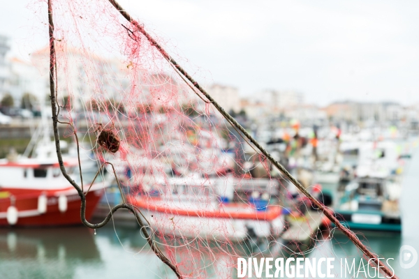 La pêche artisanale française au ralenti