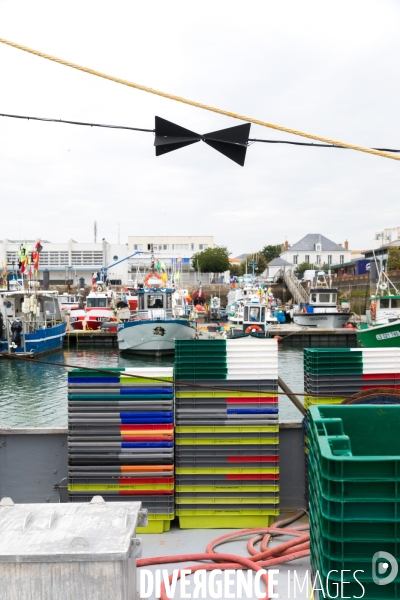 La pêche artisanale française au ralenti