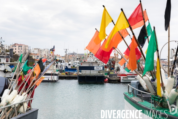 La pêche artisanale française au ralenti