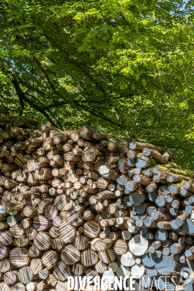 16 mai 2020 Réouverture du Domaine de Chaumont sur Loire