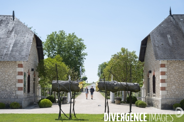 16 mai 2020 Réouverture du Domaine de Chaumont sur Loire