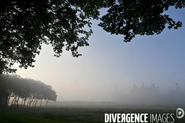 Le parc de Chambord pendant le confinement