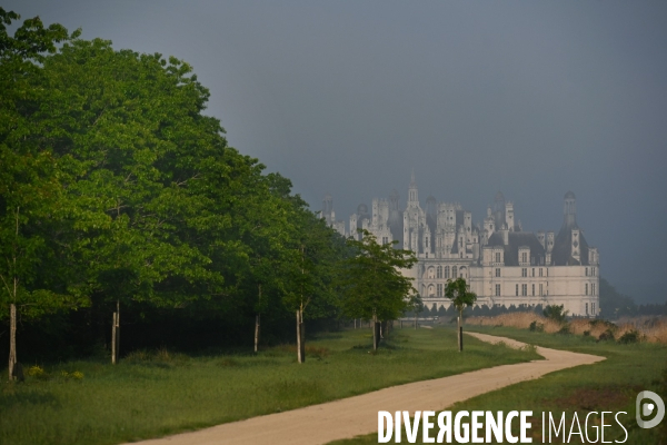 Le parc de Chambord pendant le confinement