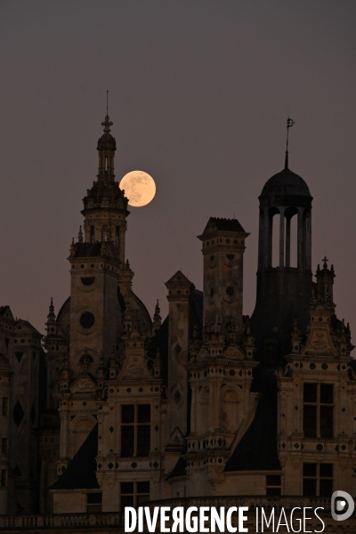 Le parc de Chambord pendant le confinement