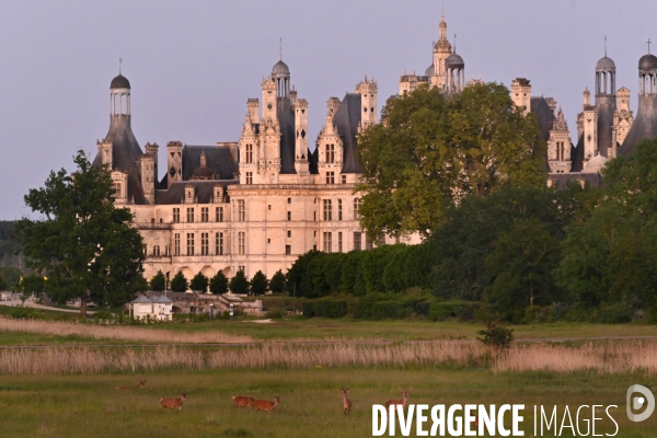 Le parc de Chambord pendant le confinement