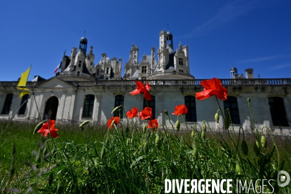 Le parc de Chambord pendant le confinement