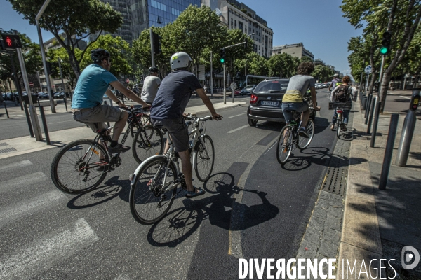 Les cyclistes contre la suppression de la piste cyclable Prado 1 à Marseille