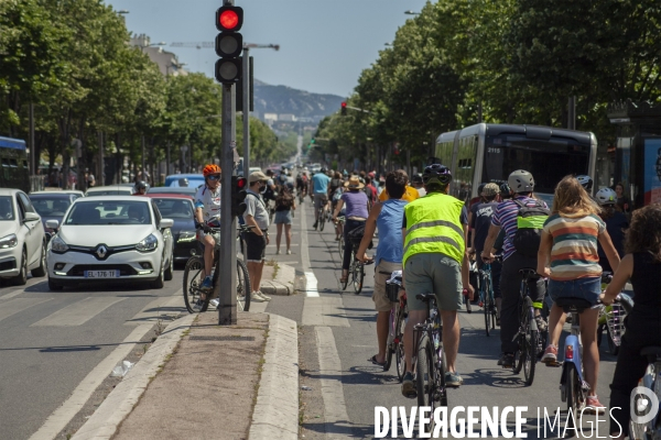 Les cyclistes contre la suppression de la piste cyclable Prado 1 à Marseille