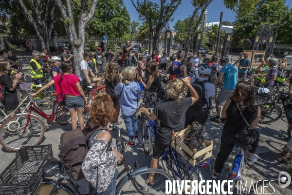 Les cyclistes contre la suppression de la piste cyclable Prado 1 à Marseille