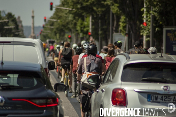 Les cyclistes contre la suppression de la piste cyclable Prado 1 à Marseille