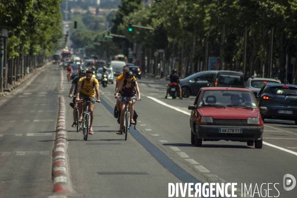 Les cyclistes contre la suppression de la piste cyclable Prado 1 à Marseille