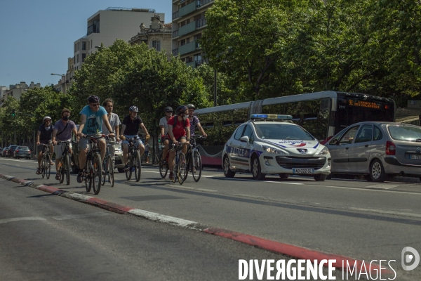 Les cyclistes contre la suppression de la piste cyclable Prado 1 à Marseille