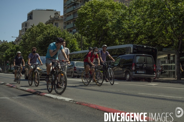 Les cyclistes contre la suppression de la piste cyclable Prado 1 à Marseille