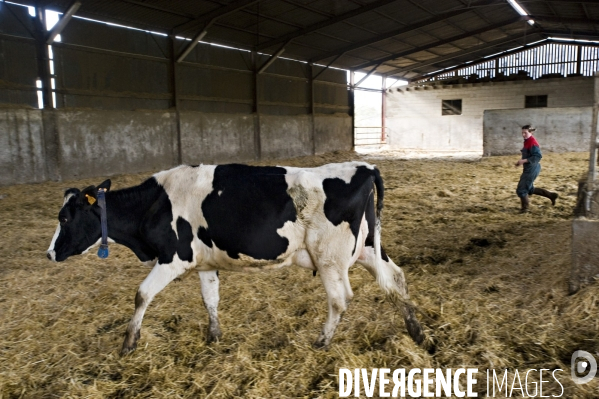 Aurore, jeune femme salariée agricole dans le Limousin.