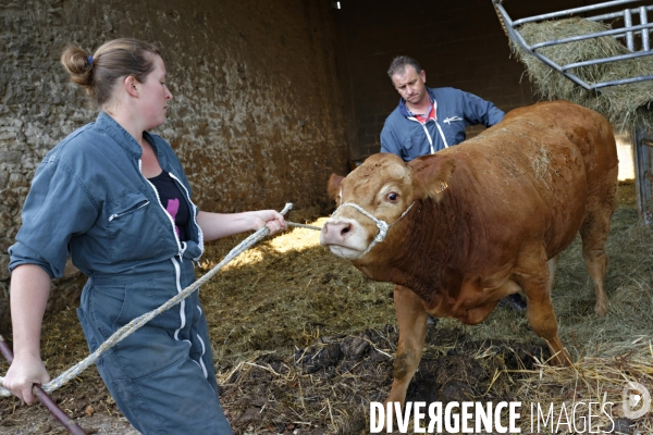 Aurore, jeune femme salariée agricole dans le Limousin.