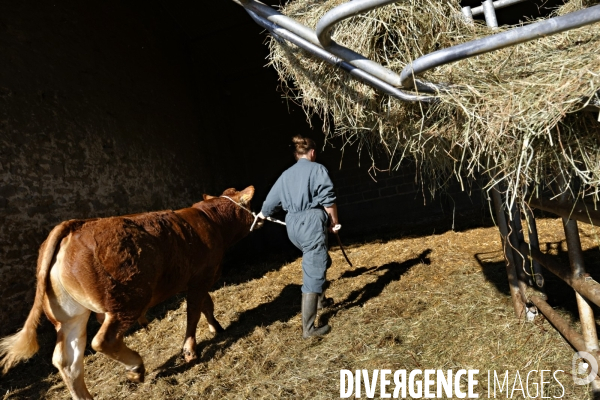 Aurore, jeune femme salariée agricole dans le Limousin.