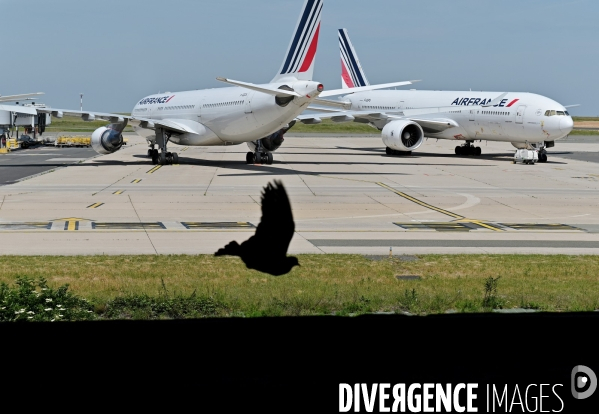 Avions d air france cloués au sol pendant l épidémie de coronavirus