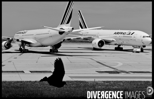 Avions d air france cloués au sol pendant l épidémie de coronavirus