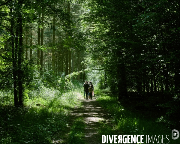 Les Vieilles Ventes, premiers jours à la campagne après le déconfinement.