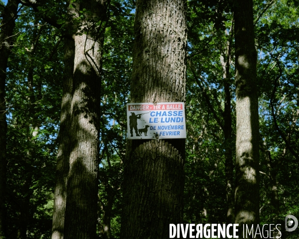 Les Vieilles Ventes, premiers jours à la campagne après le déconfinement.