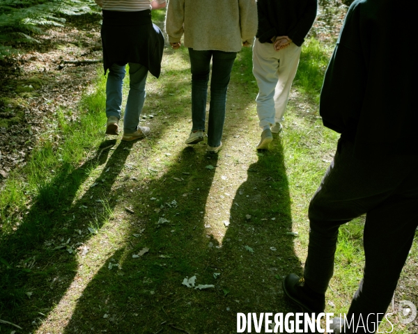 Les Vieilles Ventes, premiers jours à la campagne après le déconfinement.