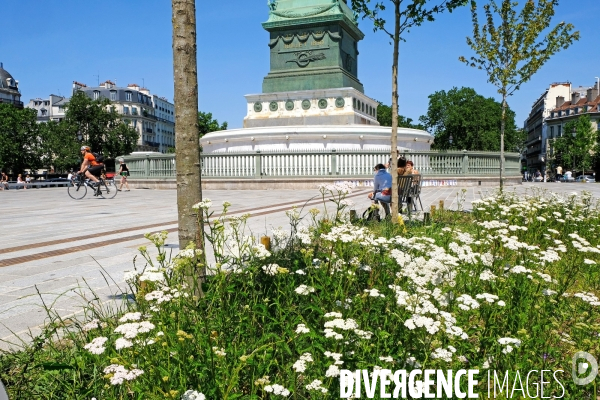 Amenagement et circulation place de la Bastille