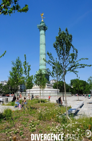 Amenagement et circulation place de la Bastille